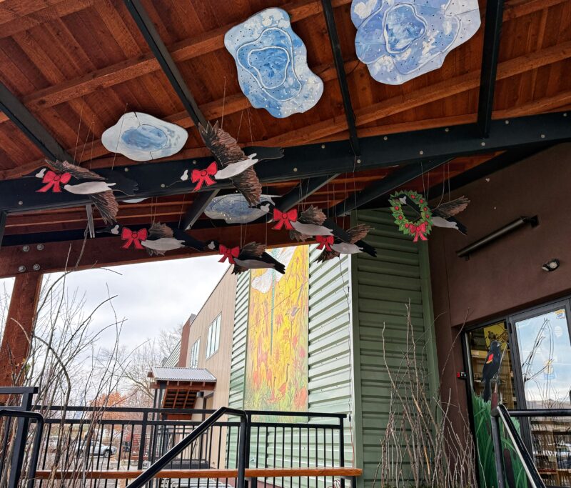 Montana Natural History Center